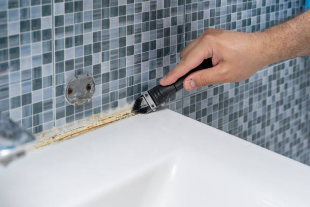 Best Preventive Mold Services in Radisson, NY