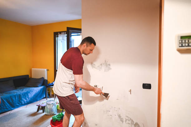 Best Mold Remediation for Specific Building Types in Radisson, NY